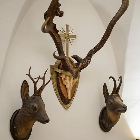 Alpen Glueck Unterm Rain Garni Zajazd